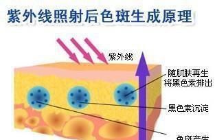 皮肤比较黑,有哪些比较实用的美白方法呢图1