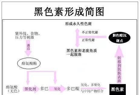 皮肤比较黑,有哪些比较实用的美白方法呢图2