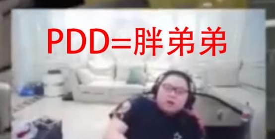 pdd是什么意思图1