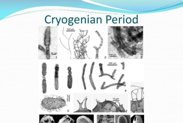 冰河时期生物，地球的冰河时期是什么造成的图4