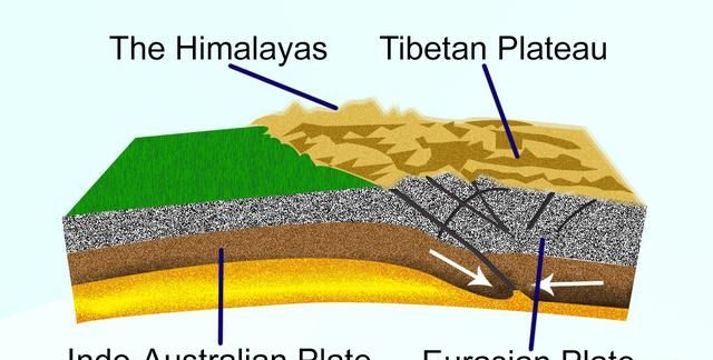 冰河时期生物，地球的冰河时期是什么造成的图5