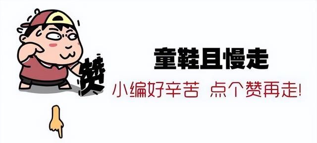 狗狗总是看“窗外”，是想要出去吗？背后的原因有这些