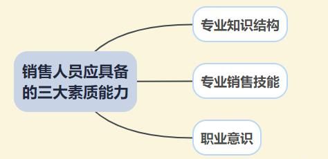 销售员应具备的素质，一个合格的销售员应该具备哪些能力和素质图1