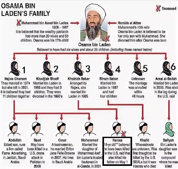 特朗普称，本·拉登儿子哈姆扎·本·拉登已被美军击毙，拉登到底有几个儿子图1