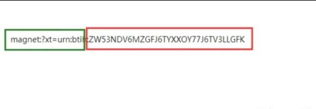 磁力链接怎么做图2