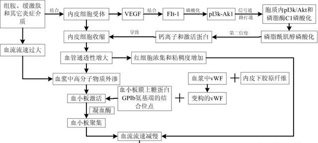 红血丝怎么去除最有效图2