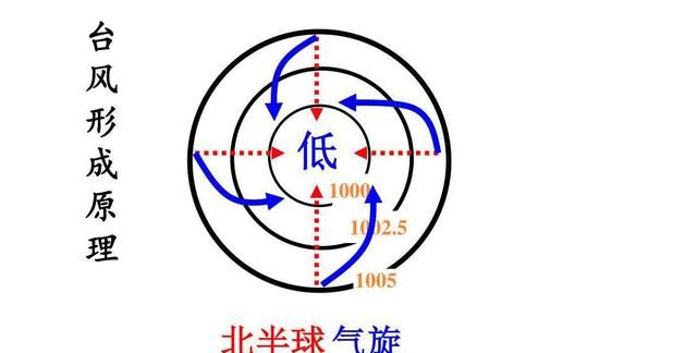 台风鹦鹉多少级，今年第2号台风"鹦鹉"生成