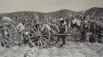 日俄战争，为什么打遍天下无敌手的哥萨克骑兵被日军打的满地找牙图8