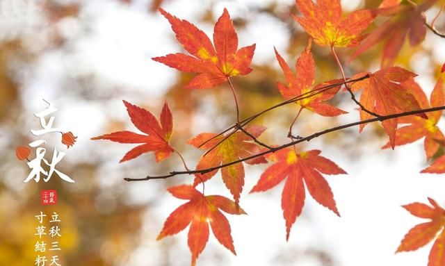 明天是四绝日，老人说“明日三不空，今冬不受穷”，什么是三不空图5