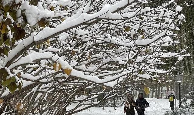 明天是四绝日，老人说“明日三不空，今冬不受穷”，什么是三不空图10