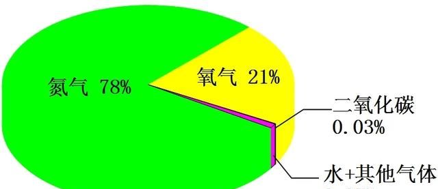 空气中的氮气能被人体吸收吗图1