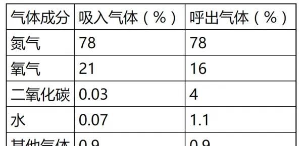 空气中的氮气能被人体吸收吗图5