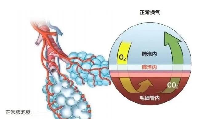 空气中的氮气能被人体吸收吗图6