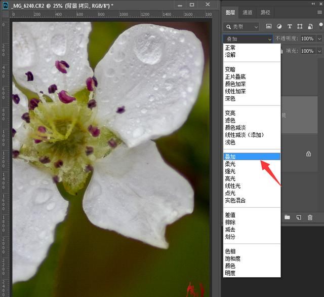 如何使用Photoshop的高反差保留滤镜来锐化图像图13