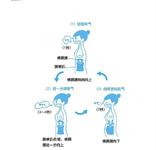 如何拥有天鹅颈图5