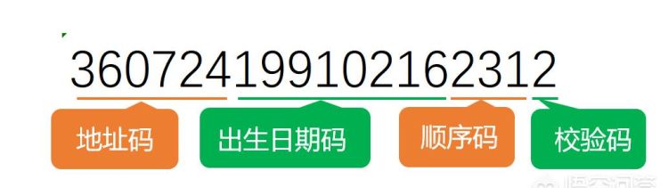 如何从身份证中提取出生日期，性别，年龄信息？图2