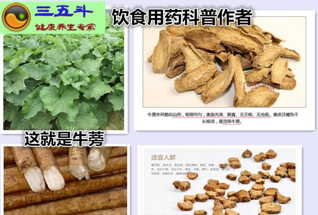 牛蒡茶的副作用，喝牛蒡茶有什么功效和作用图2