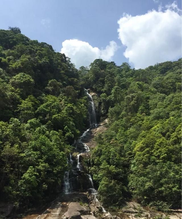 金骏眉茶怎么样好喝(金骏眉茶哪的好)图10