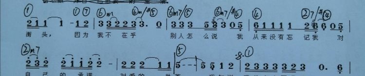 五线谱有升降号钢琴怎么弹图3