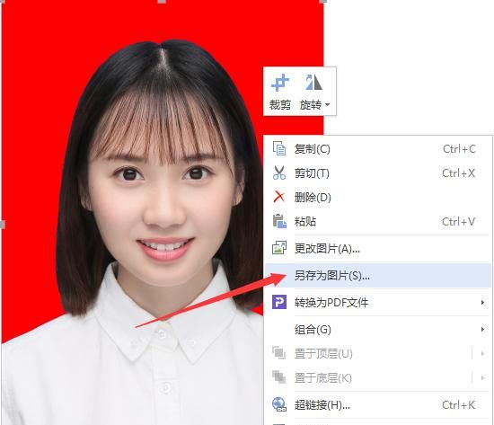 如何用word改变证件照的背景颜色图8