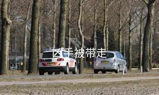 李清照经历了家破人亡,赌博家破人亡经历图3