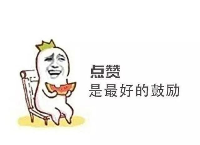 成年狞猫是否打得过一只比特犬?为什么不能养图9