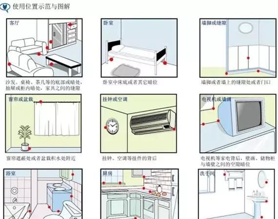 怎么快速有效的消灭蟑螂图9