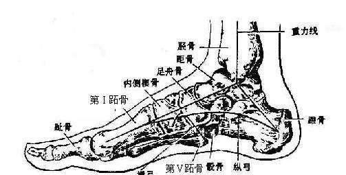 为什么突然长脚气(为什么突然长脚气呢)图2