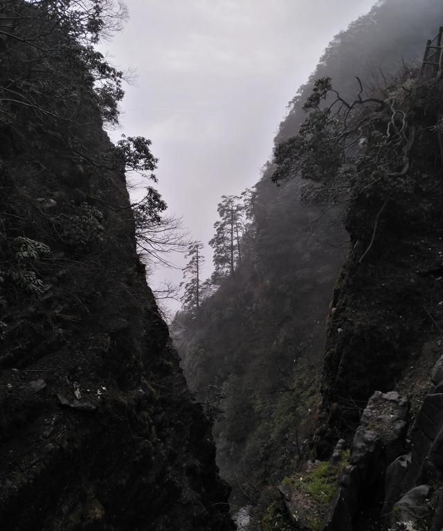 四川峨眉山怎么样(四川峨眉山伏虎寺)图2