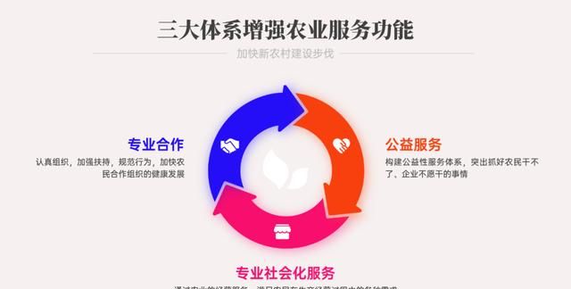 ppt中怎么做出逻辑图表(ppt中怎样做图表)图3