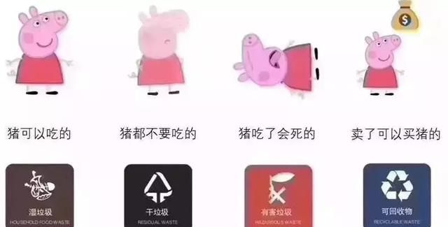 生活中的你做到垃圾分类了吗图12