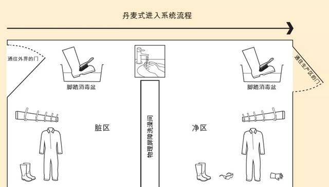 如何保证猪舍清洗消毒切实有效的措施图1