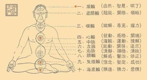 怎样学艾灸(怎样学艾灸零基础入门到精通)图6