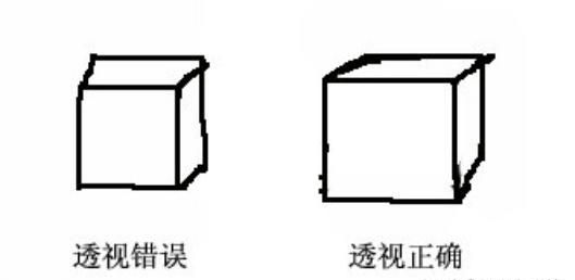 新手如何学会画素描图3