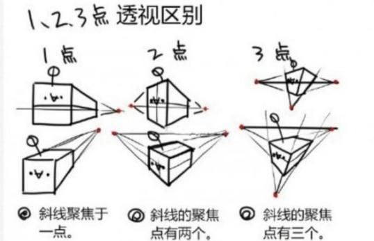 新手如何学会画素描图12