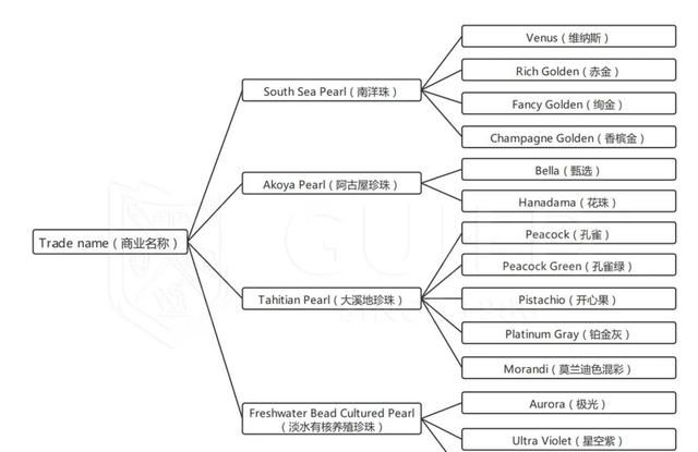 如何鉴别金珍珠的真假,爱迪生珍珠真假鉴别图13