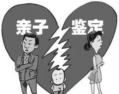 亲子鉴定怎么收费的(临沂亲子鉴定收费标准)图1