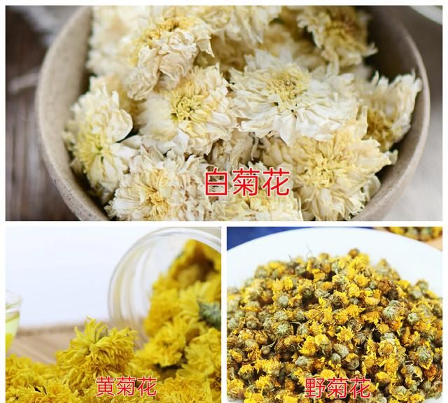 菊花茶对身体有哪些好处(菊花茶经常喝有什么好处)图3