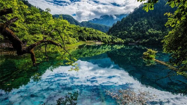 四川有哪些旅游景点,四川有哪些旅游景点适合老年人图1