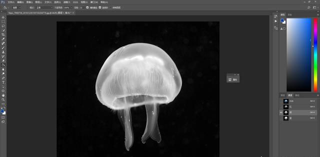 如何用ps抠取半透明水母图,ps制作烟雾抠图图5