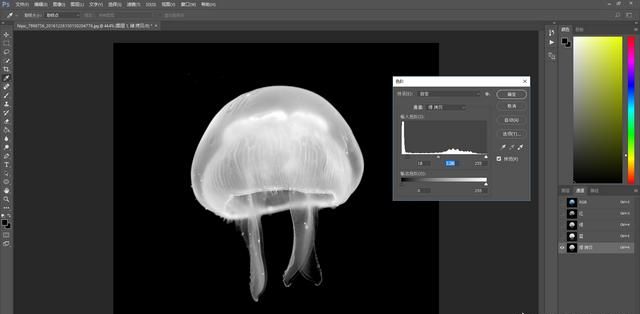 如何用ps抠取半透明水母图,ps制作烟雾抠图图7