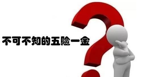 五险一金应该怎么缴纳图3