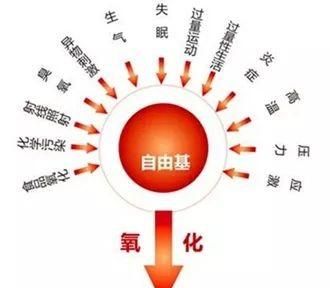 肝排毒不好吃什么食物比较好(吃什么食物养肝护肝排毒)图10