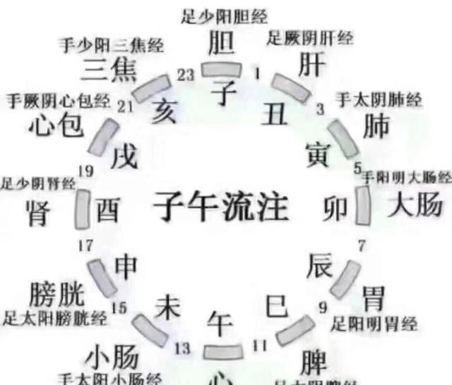 肝排毒不好吃什么食物比较好(吃什么食物养肝护肝排毒)图11