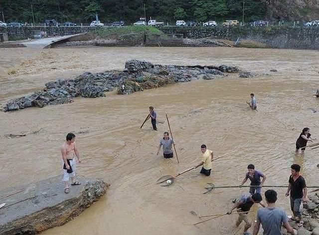 野生鲫鱼是怎么出现的(钓野生鲫鱼的最佳方法)图3