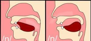 前鼻音和后鼻音有哪些区别(前鼻音和后鼻音的区分技巧)图1