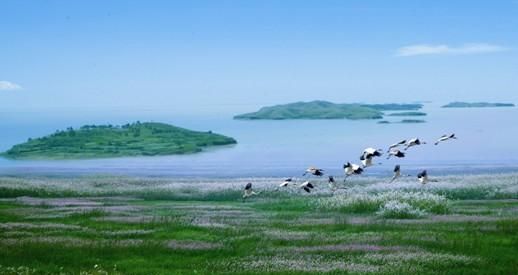 中国五大淡水湖哪个景色最好看(微山湖为什么不是五大淡水湖)图8