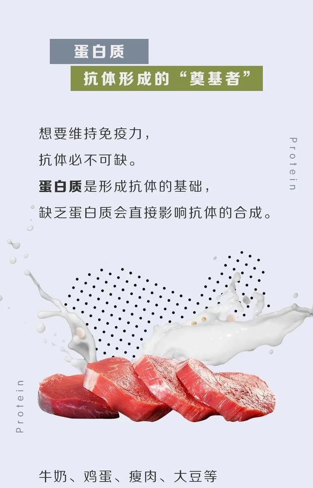 不吃肉如何每天补充蛋白质图1