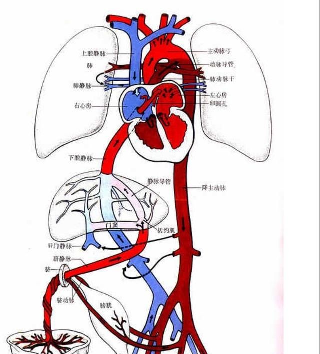 肚脐泥到底能不能抠,肚脐泥能抠吗图8