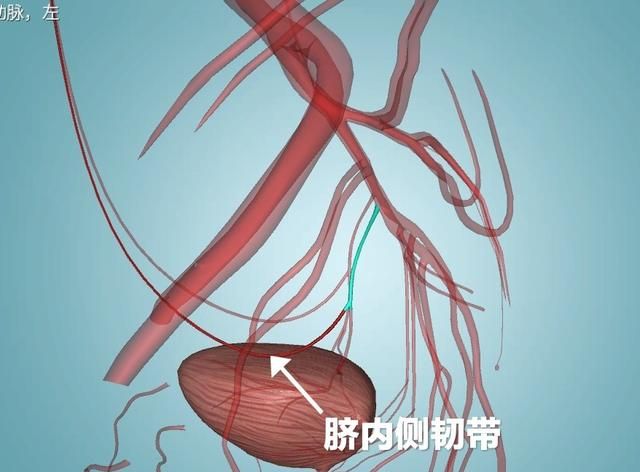 肚脐泥到底能不能抠,肚脐泥能抠吗图9